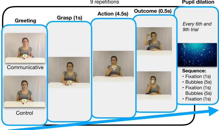 Figure 3.2: Trial order and order of one experimental block. The ﬁrst, fourth and sixthgreeting video used a longer greeting, the other greetings were short and consisted of oneword only