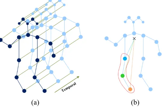 Fig. 1  (a) Spatial temporal graph of the skeleton. (b) Partitioning strategy, different colors represent different 