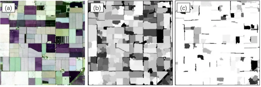 Figure 3. (a) A subset of the UAVSAR image (bands VV, HV and HH) used in this paper, (b) the prediction probability generated by the OSVM model, (c) the prediction probability achieved by the OCNN model