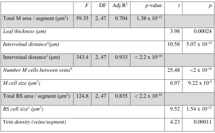 Table 1. Results of linear regression analyses on leaf components underlying M:BS in Alloteropsis 