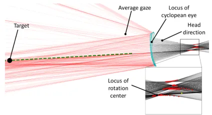 Figure 11: Top view of an example trial (P5, D=20 cm), show-ing gaze and head rays during head rotation.