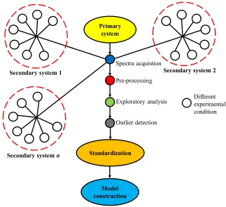 Figure 4. Flowchart for a standardization protocol using different experimental conditions