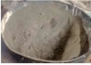 Figure 1: Flyash 