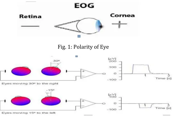 Fig. 1: Polarity of Eye 