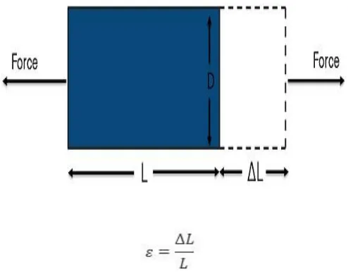 Figure 1. Strain is the ratio of the change in length of a material to the original, unaffected length