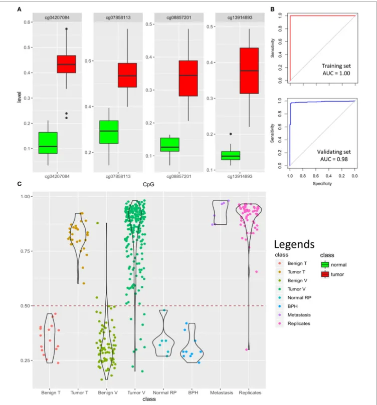 FigUre 5 | Prediction algorithm for classification of prostate samples: (a) four cytosine-phosphate-guanine (CpG) probes selected by LASSO for training the  classification model show significant hypermethylation in the tumors as compared to the normal samp