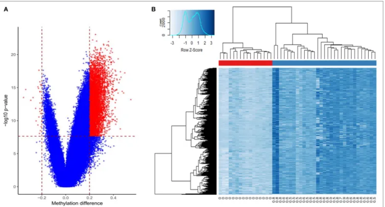 FigUre 1 | Differentially methylated cytosine-phosphate-guanine (CpG) sites in prostate cancer: (a) volcano plot of the comparison between the tumors and benign  samples: X-axis: methylation difference (mean tumor  − mean normal); Y-axis: negative logarith