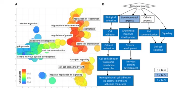 FigUre 2 | Gene-set enrichment analysis of differentially methylated cytosine-phosphate-guanine sites (CpGs) in prostate cancer: (a) multiple dimensional scaling  of the gene ontology (GO) terms (circles): GO terms with closely related functionalities are 