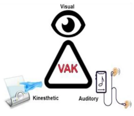 Fig 1 – VAK Style Module 