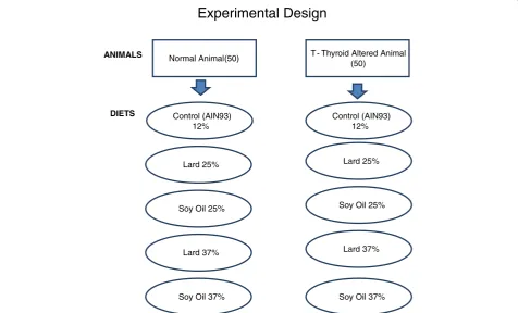 Figure 3 Experimental groups and test diets. Five of the experimental groups were comprised of normal or euthyroid rats, and the remainingfive experimental groups contained thyroid altered animals