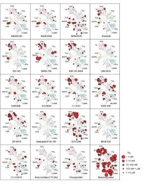 Figure 2.2: Specificity profiles of various chemotherapy compounds.  A plot of dissociation constants (Kd) of chemotherapy agents against a variety of target molecules
