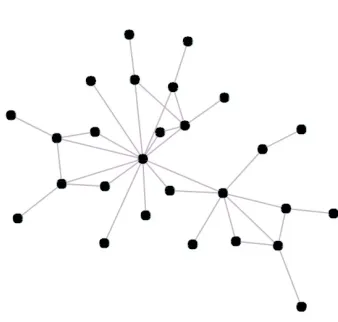 Figure 6: Scale Free Network SFn