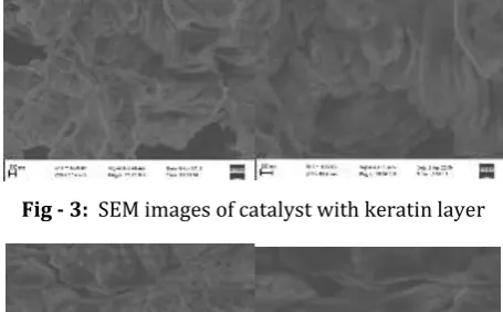 Fig - 3:  SEM images of catalyst with keratin layer 