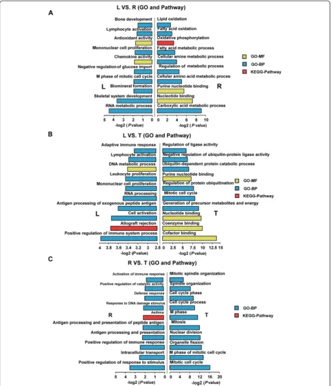 Figure 5 Top ten GO (Gene Ontology) terms enriched for the up- and down-regulated genes among the three pig breeds