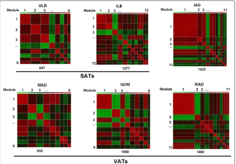 Figure 9 Heat maps of co-expressed gene modules in six adipose tissues. Two SATs (ILB: inner layer of backfat, ULB: upper layer of backfat);three VATs (GOM: greater omentum, MAD: mesenteric adipose, RAD: retroperitoneal adipose); and intermuscular adipose 
