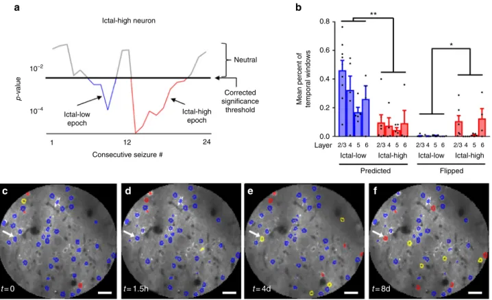 Fig. 3 Temporal participation of neurons over minutes to days. a With a 7-minute moving window, a neuron with an overall classi ﬁcation of “ictal-high” had 1 signi ﬁcant ictal-high segment (red), periods of no signiﬁcant difference (gray), and it also ﬂipp