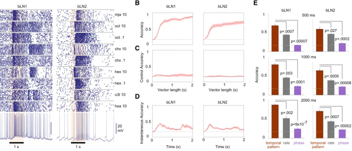 Figure 3. Response Patterns in bLNs Contain Information about Odor Identity