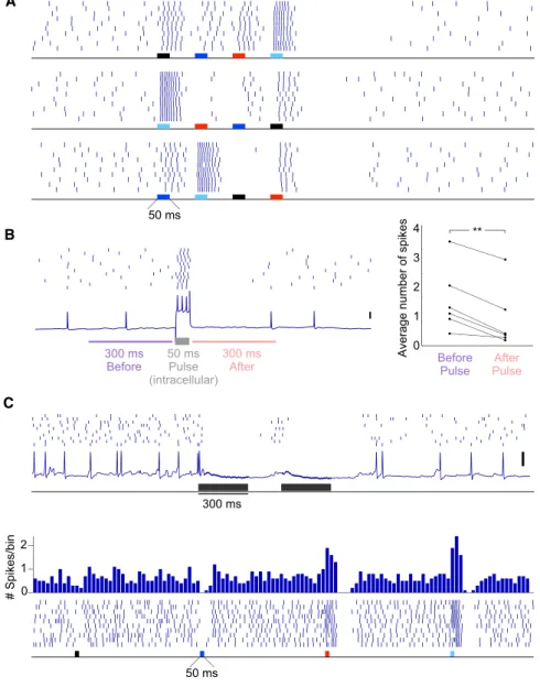 Figure 7. Inhibition Influences bLN Response Patterns