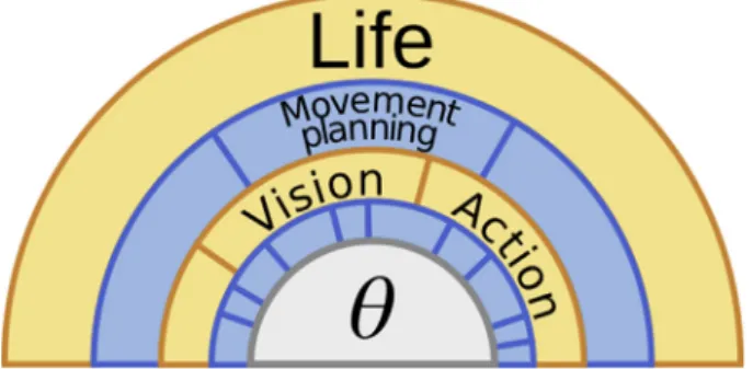 Fig. 1 e Hierarchy of tasks related to the objectives the brain has to accomplish. To make the evolutionary goal of Life tractable, the brain must be able to decompose it into manageable subtasks (blue and yellow arcs)