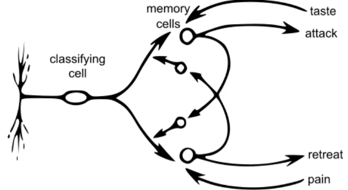 Fig. 2   Young’s model of memory units in the octopus: Feature detectors cause changes in memory cells,  which are coupled with taste receptors and attack effectors, as well as pain receptors and escape effec‑