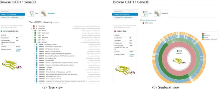 Figure 4. New tools allow users to browse the CATH structural hierarchy using dynamically generated views: ‘Tree’ and ‘Sunburst’.