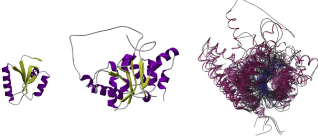 Fig. 2. Selected relatives from the HUP superfamily (CATH ID: 3.40.50.620) illustrating the diverse structural embellishments (shown in blue) that have evolved and are embel- embel-lishing the conserved structural core (shown in pink).