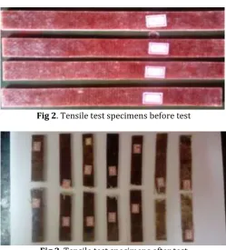 Fig 2. Tensile test specimens before test 