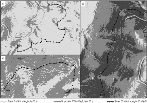 Fig. 10 Number and location of cross-sections along a given straight road segment for different cross-section spacings (1, 2, 4, 8, and 16 meters)Slika 10