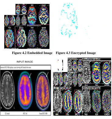 Figure 4.4 Another Original Image      Figure 4.5 Embedded Image 