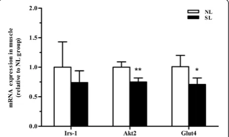 Fig. 6 mRNA expression of key insulin signaling components inepididymal fat at 16 weeks