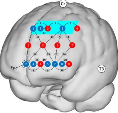 Figure 2. Localization of the 20 channels projected on a standard brain. There were eight detectors  (blue dots) and eight emitters (red dots)