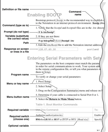 Figure 1 Typographical Conventions