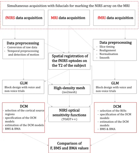 Fig. 1 displays the outline of the analysis conducted in this study for fNIRS, MRI and fMRI.