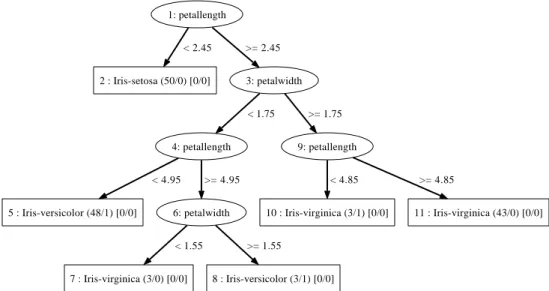 Figure 2.3: Unpruned PET for iris data