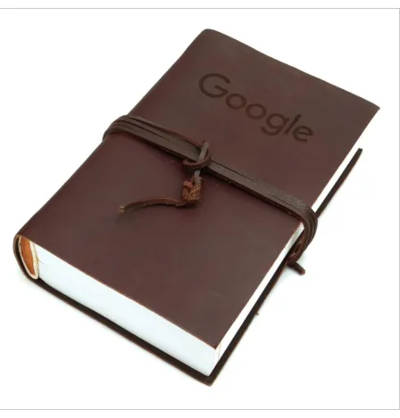 Figure 7: Google Diary 