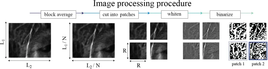 Figure 6: Depiction of image processing procedure. We first take an ensemble of images and make new pixels by averaging blocks of order to test the analysis across scales