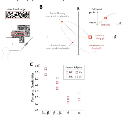 Figure 8: Depiction of psychophysical experimental procedure. The task (schematized in 