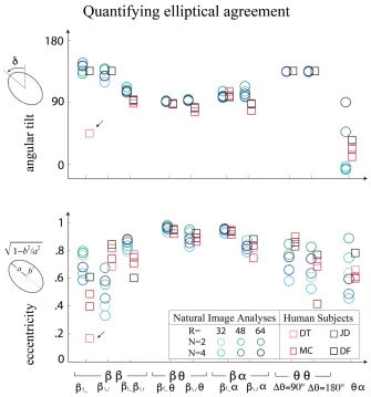 Figure 10: Quantifying elliptical agreement. Angular tilt (top) and eccentricity (bottom) plotted for a variety of image processing parameters and each human subject