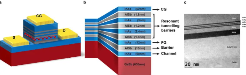Figure 1. Device structure. (a) Schematic of the processed device with control gate (CG), source (S) and drain (D) contacts (gold)