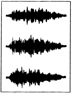 Figure 5.1 Auditory envelopes of three target clusters. 