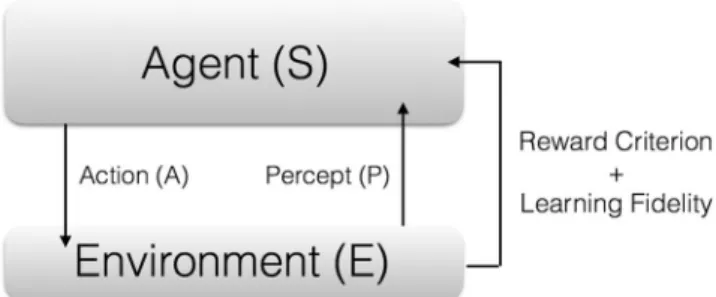 Figure 1.  Scheme of reinforcement learning. In each learning cycle, an Agent, denoted by S, interacts with an  Environment, denoted by E, realizing some Action (A) on it, as well as gathering information, or Percept (P)  about its relation to it
