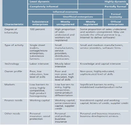 Figure 2. 9: Typology of the degree of enterprise informality