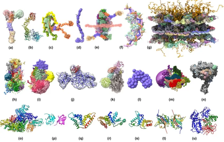 Fig. 3    A snapshot of integrative structural models deposited in PDB- PDB-Dev. a Nup84 sub-complex (PDBDEV_ 00000001 (Shi et al