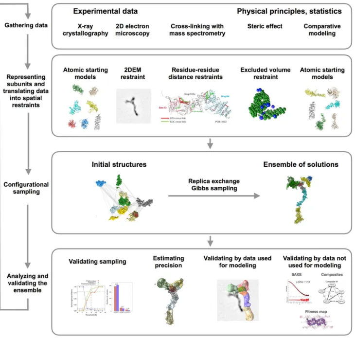 Fig. 1    The four-step modeling workflow as implemented in the Inte- Inte-grative Modeling Platform