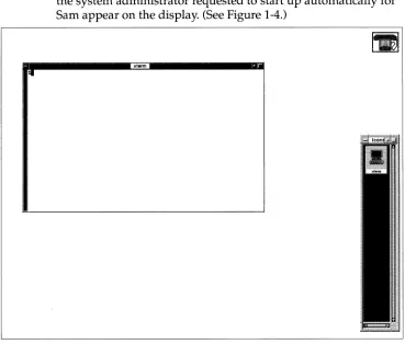 Figure 1-4 An X Display After Login 