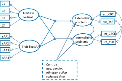 Figure 1.1 Combined Effect of Trait-like Cortisol and Trait-like Alpha-amylase on Behavior Problems