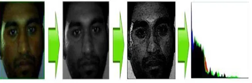 Figure 6 Color Image -> Grayscale Image -> LBP Mask -> Normalized LBP Histogram 