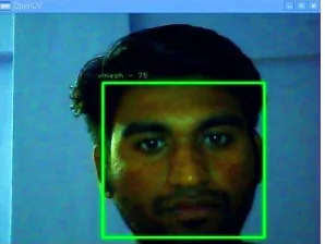 Figure.8 Detected image 