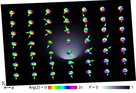 Figure 1 | Numerical simulation of a singly-quantized singular SO(3) vortex.The