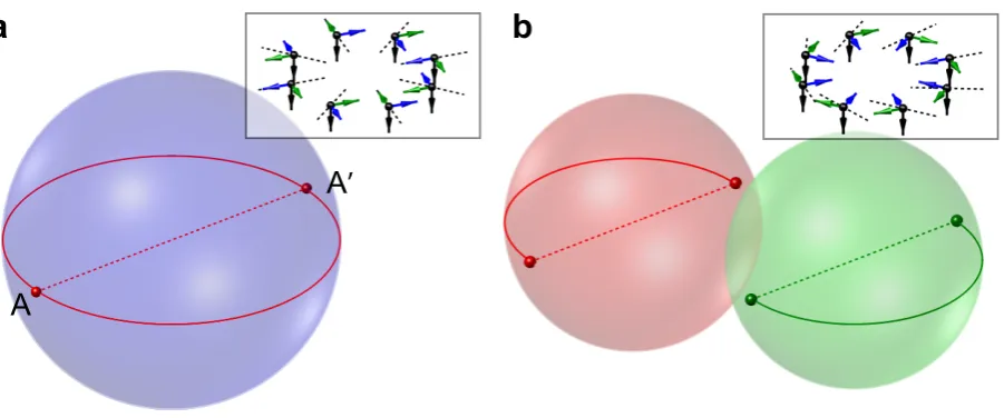 Figure 2 | Contractible and non-contractible loops in SO(3). (a) Points inside and on